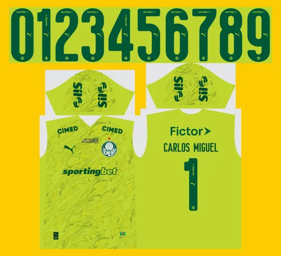 Arte Vetor Camisa do Palmeiras Goleiro 2026